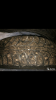 BE91DDB4-C2CB-49D0-B8BE-90BF314E610B.png
