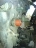 DSC00750.jpg