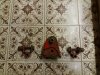 20190325_134531.jpg