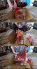 Muteguard_Japan-min.jpg