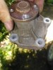 IMG_20200808_124222.jpg