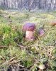 IMG_20200923_093048.jpg