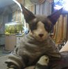 IMG_20201130_200048.jpg