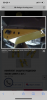 EF9C706B-4178-46A5-84E6-11289C89BF7F.png