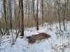 20221202_120642w.jpg