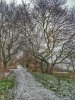 IMG_20180127_110839-01.jpeg
