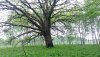 20150523_131826.jpg