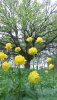 20150523_133146.jpg