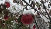 20161104_095912-01.jpeg