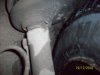 100_3531.jpg