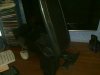 29012011129.jpg