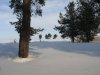 m_IMG_0993.JPG