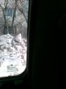 04032011118.jpg