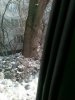 04032011117.jpg