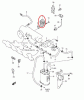EGR1.GIF
