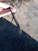 2011-04-29 10.14.47.jpg