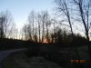 001_Вальдшнеп-закат.jpg
