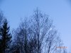 002_Вальдшнеп-месяц.jpg