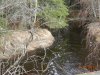 004_Кряковые-плывут.jpg