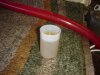 DSC04189_11.jpg