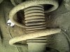 IMG0825.jpg