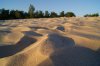 DSC00770.jpg