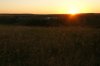 DSC00789.jpg