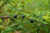 0_773c5_70e19bfa_XL.jpg
