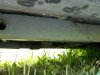 DSCN0833.jpg