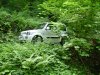 DSC06198.jpg