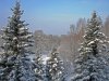 winter_03.jpg