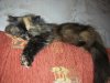 DSCN6762.JPG