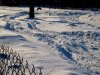 IMG_4495s.JPG