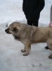 DSC04275_измен.размер_измен.размер.jpg