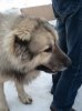 DSC04279_измен.размер_измен.размер.jpg