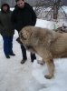 DSC04281_измен.размер_измен.размер.jpg