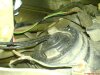 DSC09200.jpg