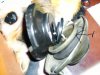 PIC_0581.jpg
