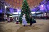 IMG_7695.jpg