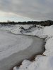 P1290306_1.jpg