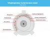 galogennye_lampy_14,01,12.jpg