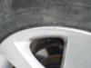DSC05544.jpg