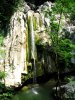 IMG_9850.JPG