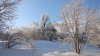 DSC02608.jpg
