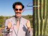 borat_wallpaper_01.jpg