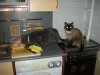 DSCN4602.jpg