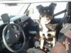 20130220_141300.jpg