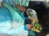 Источник 016.jpg