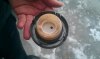 IMAG0237.jpg