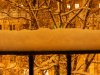 DSCN5313.JPG
